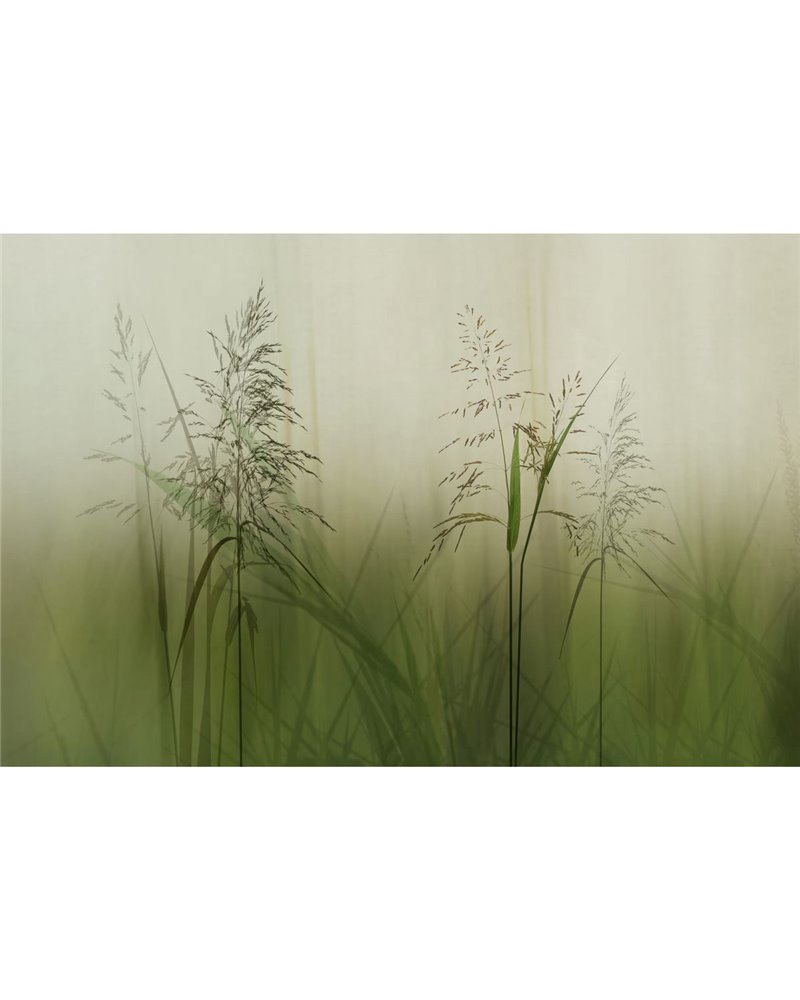 WHISPER GLF751A WHISPER GLF751A