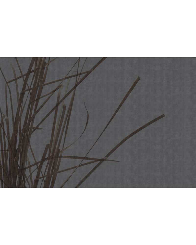 CONTEMPLATION GLF821A CONTEMPLATION GLF821A
