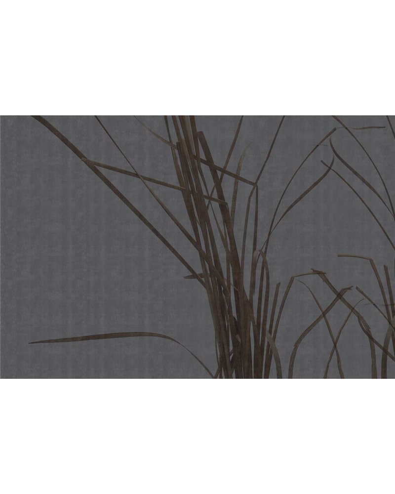 CONTEMPLATION GLF821B CONTEMPLATION GLF821B