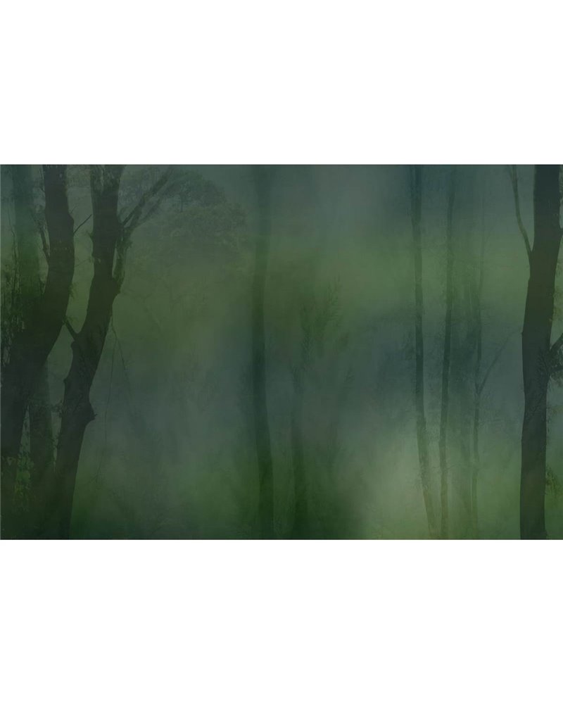 MISTERY GLF831B MISTERY GLF831B