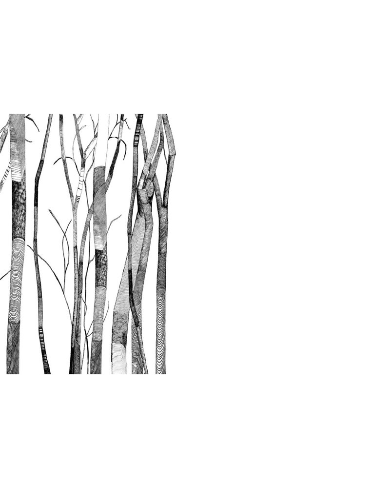 SHEER GLF311B
