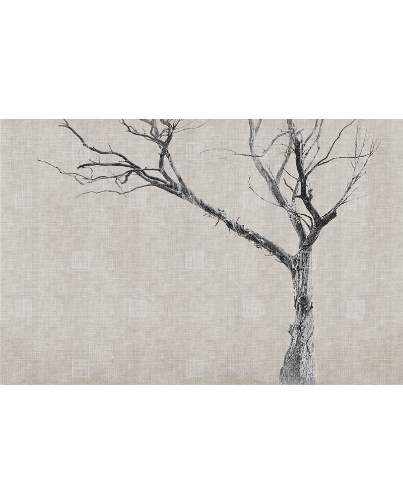 BRAMBLES RE-EDITION 13br-05 BRAMBLES RE-EDITION 13br-05