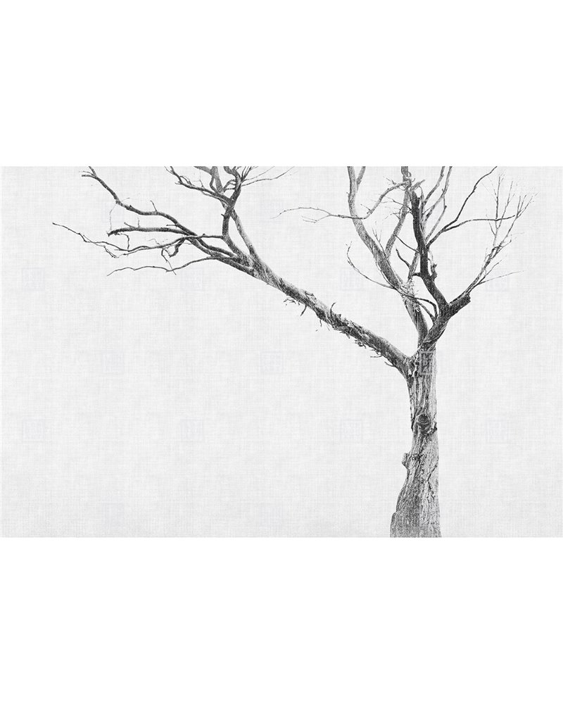 BRAMBLES RE-EDITION 13br-06 BRAMBLES RE-EDITION 13br-06