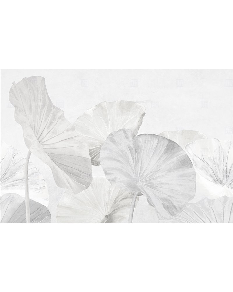 NAIDI RE-EDITION 17502-04 NAIDI RE-EDITION 17502-04
