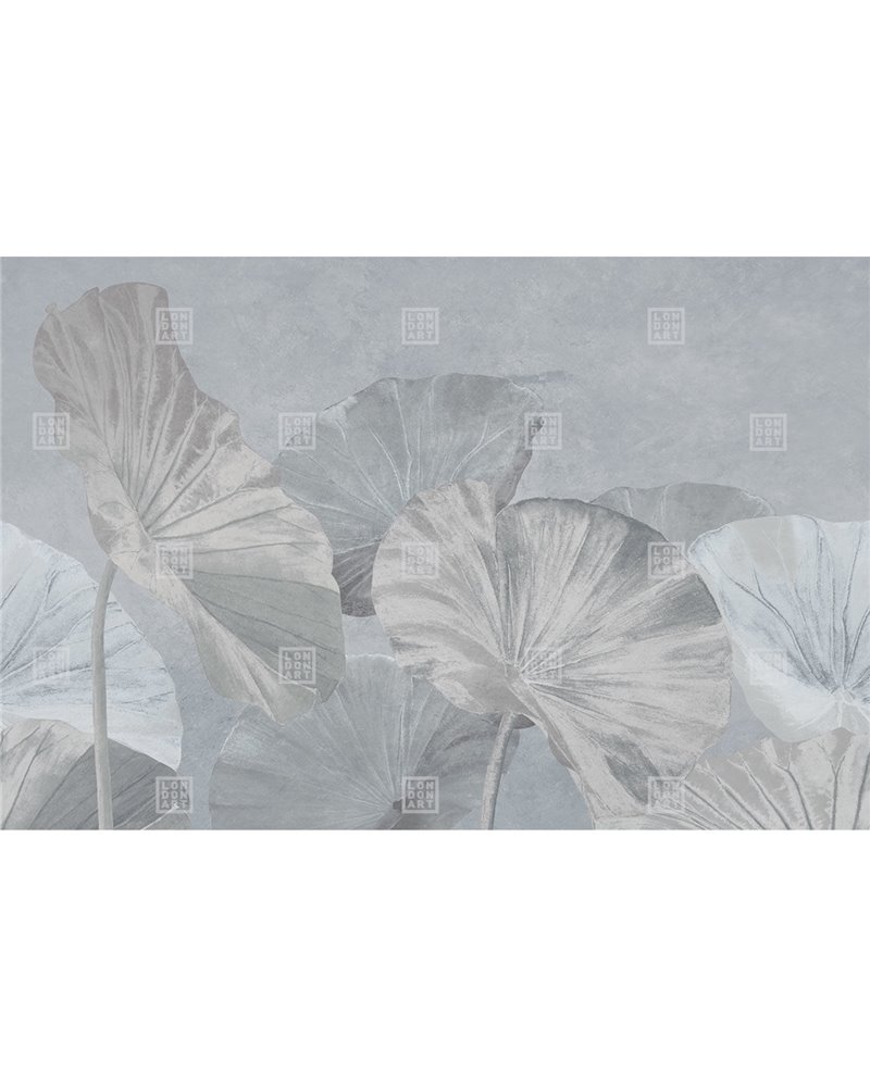 NAIDI RE-EDITION 17502-05 NAIDI RE-EDITION 17502-05