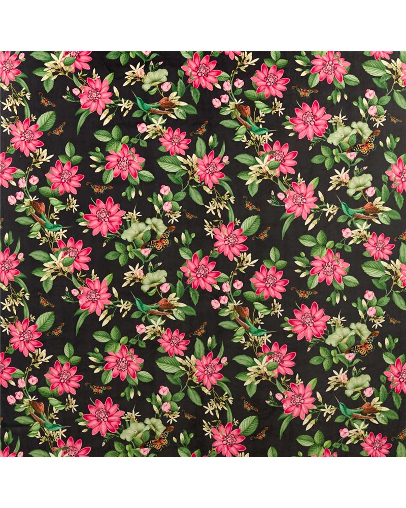 Pink Lotus Noir Velvet F1588-02 Pink Lotus Noir Velvet F1588-02