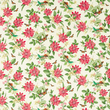 Pink Lotus Ivory F1602-01
