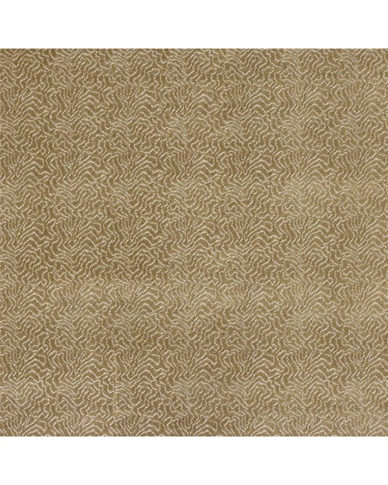 Titus Champagne M4120-02 Titus Champagne M4120-02