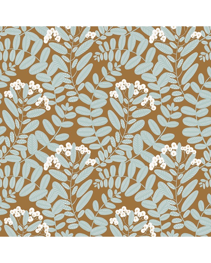 Bodie Ochre YSA005 Bodie Ochre YSA005