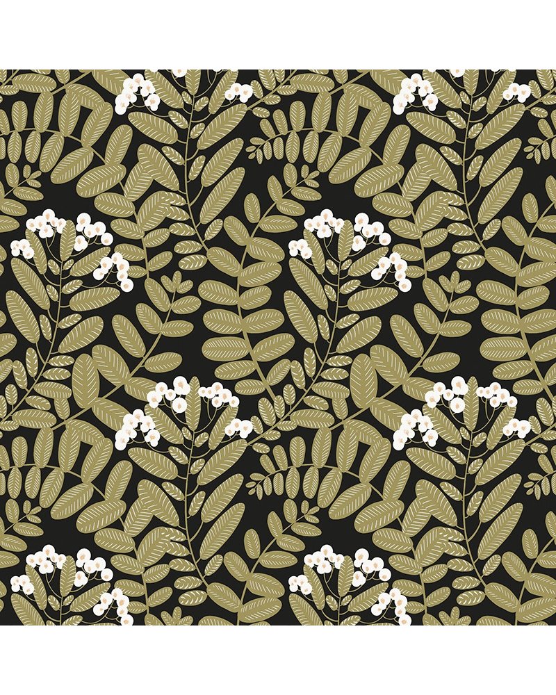 Bodie Olive YSA004 Bodie Olive YSA004