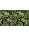 Diore Grass 48010