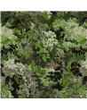 Diore Grass 48010