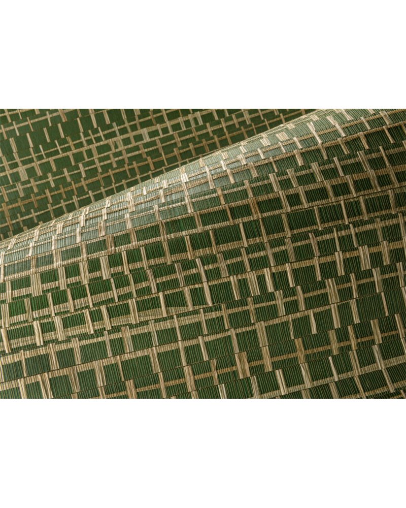 Ruban Palmier 48070