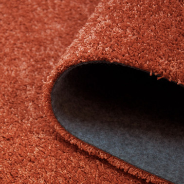 CARPET TENDER 71181-012