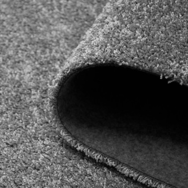 CARPET TENDER 71181-070