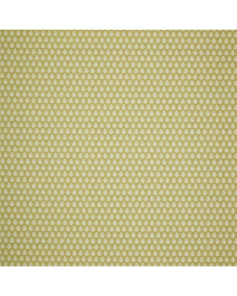 Jaipur Pollen Jaipur Pollen