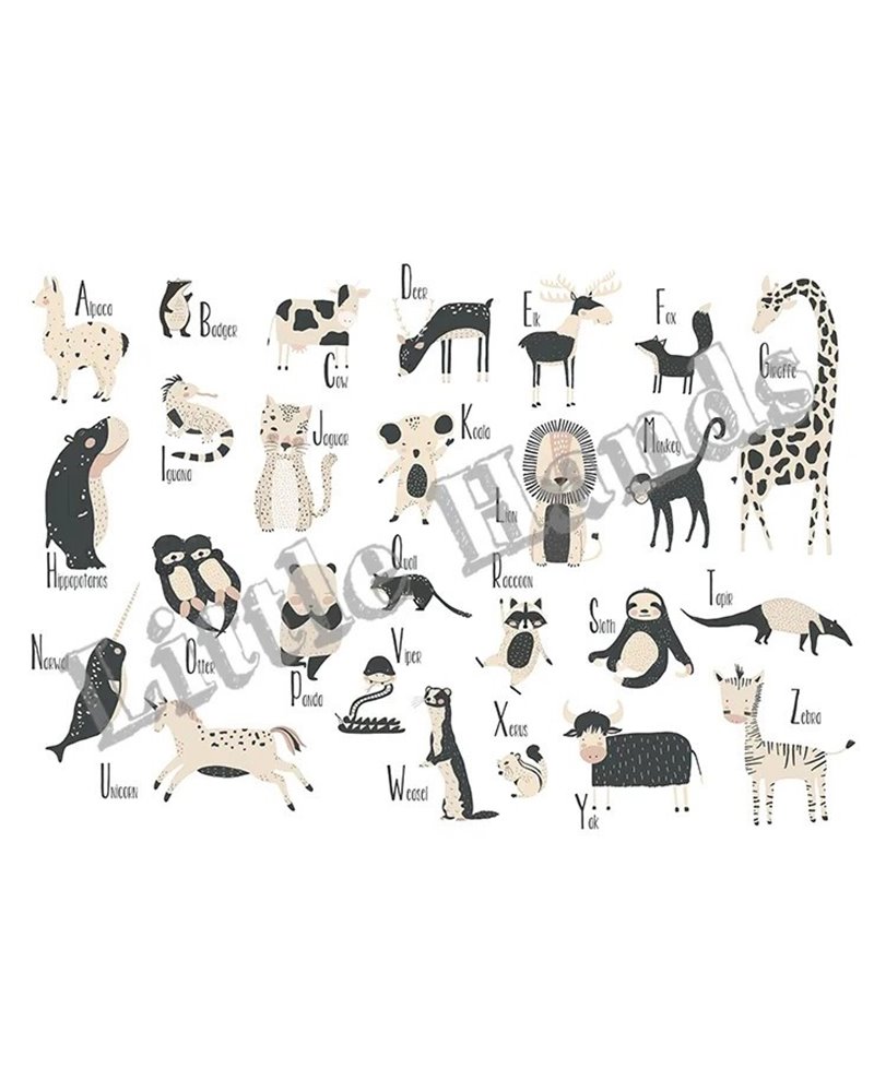 Animals ABC Animals ABC