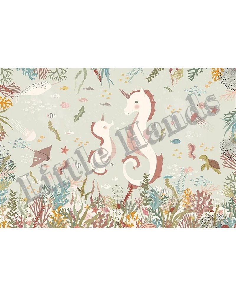 Sea Horse Family Sea Horse Family