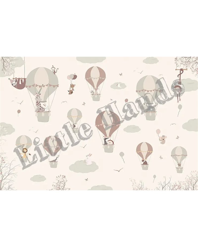 Wondering Balloon Ride Wondering Balloon Ride