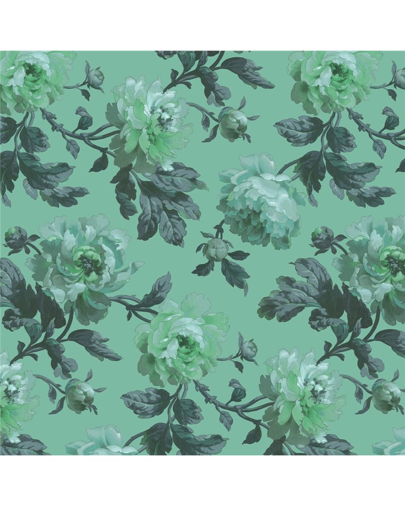 PEONEDEN ABSINTHE PEONEDEN ABSINTHE