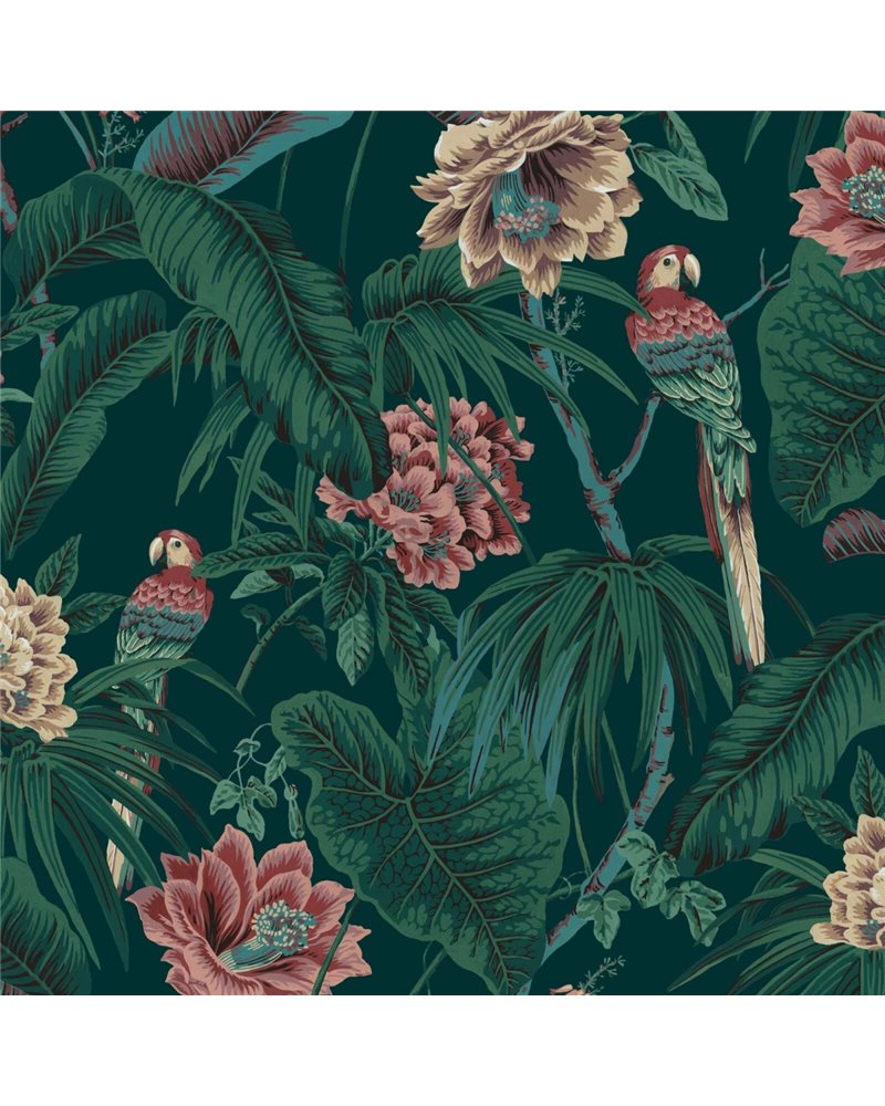 PARADISIA SPRUCE GREEN PARADISIA SPRUCE GREEN