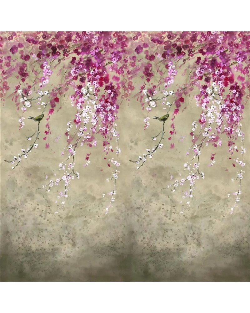 Shinsha Scene 1 Blossom PDG1116-01 Shinsha Scene 1 Blossom PDG1116-01