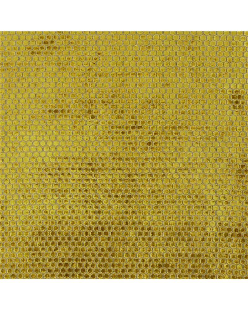Jabot Mustard FDG3089-07 Jabot Mustard FDG3089-07