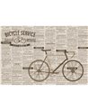 BICYCLE SERVICE KT106M-D