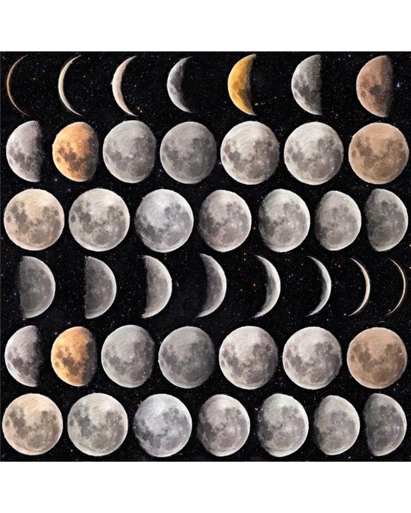 Moon Phases Premiun WP20066 Moon Phases Premiun WP20066