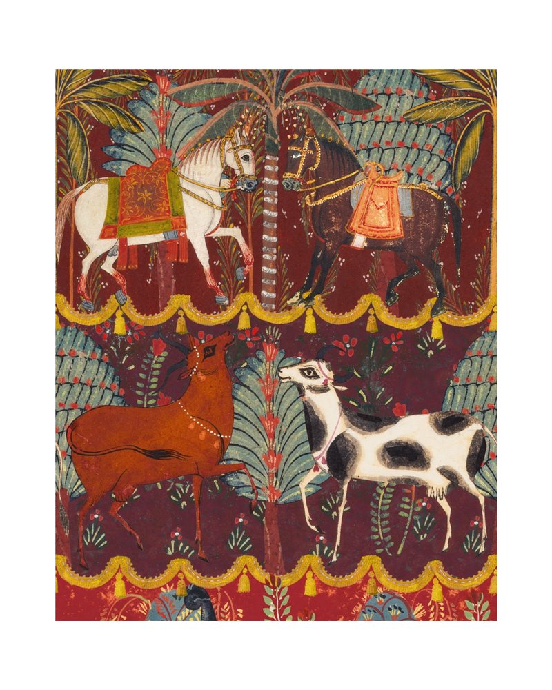Carnaval WP20610 Carnaval WP20610