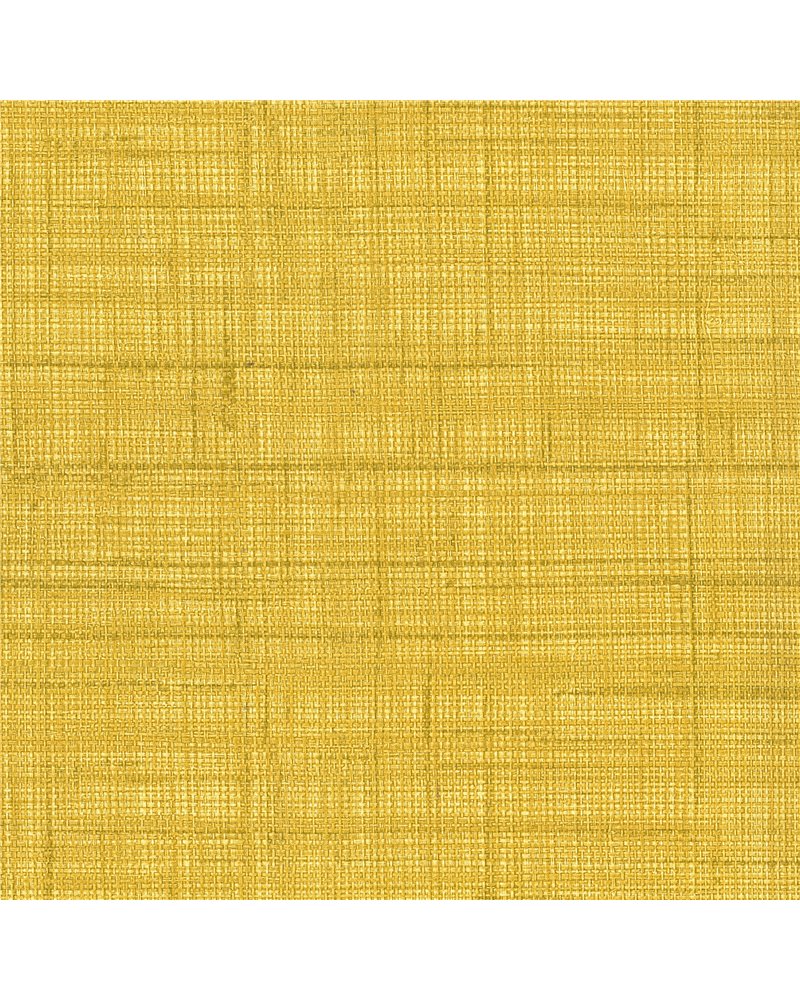 Paja Wall Giallo 23039-6 Paja Wall Giallo 23039-6