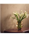 Sueded Mink ZW141-03