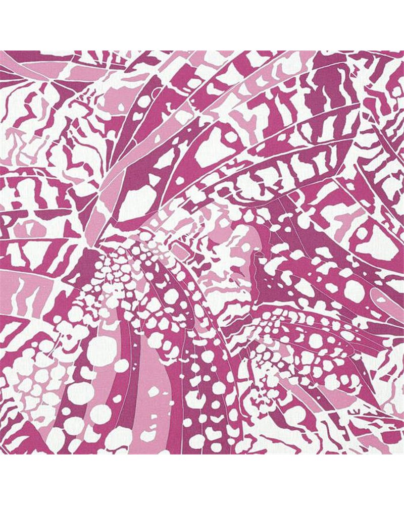 Puccini Fuchsia AF9861 Puccini Fuchsia AF9861