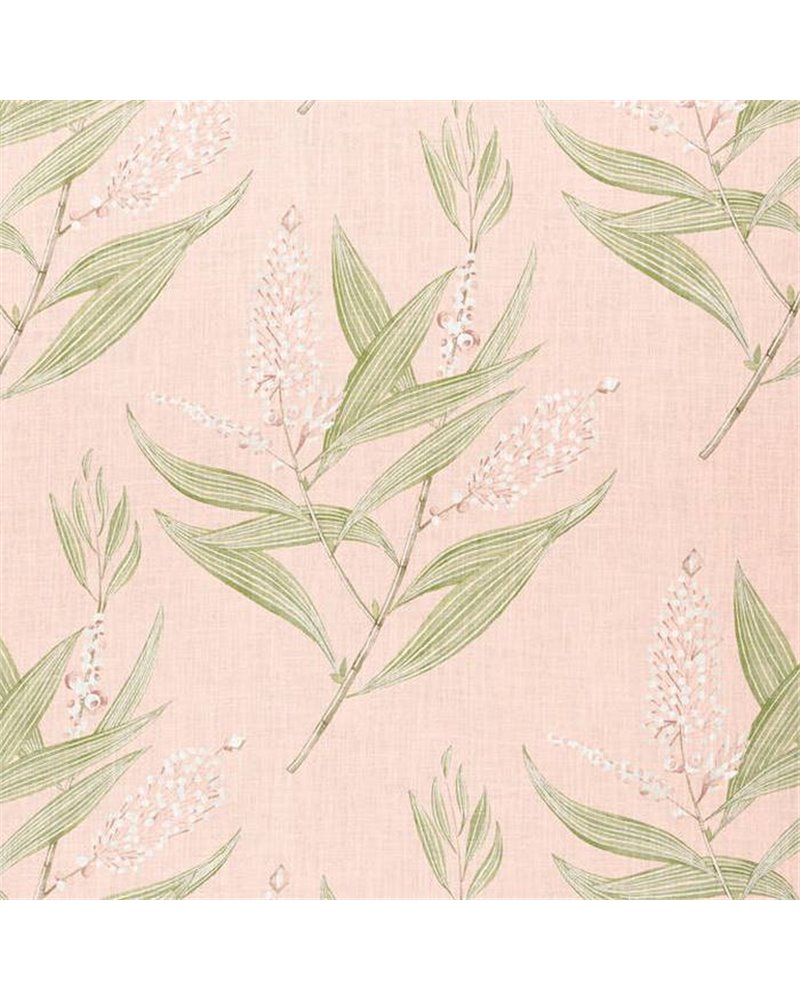 Winter Bud Blush AF23132 Winter Bud Blush AF23132