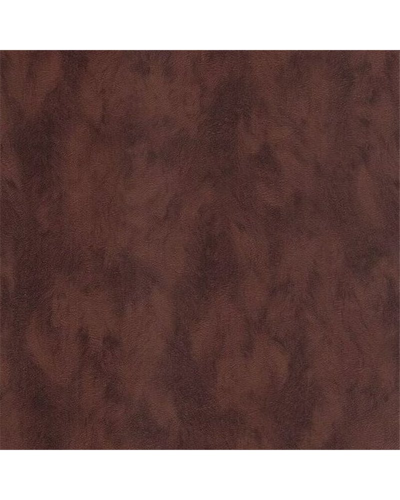 300583 300583