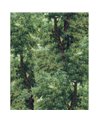 Branchy Meadow Green WP20785