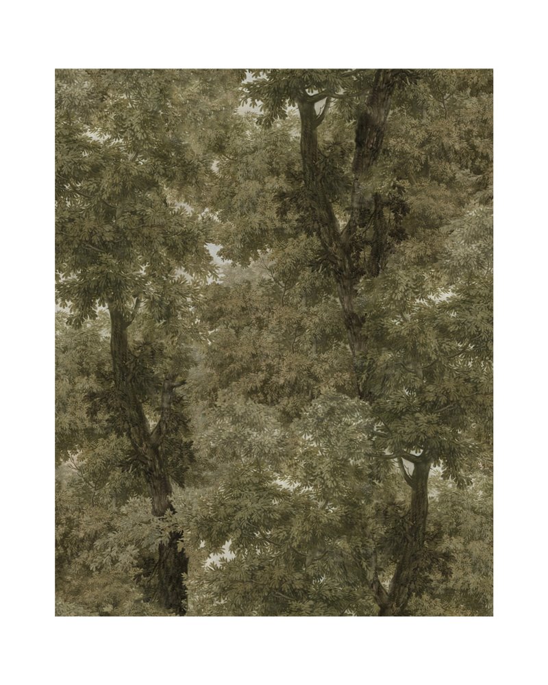 Branchy Neutral WP20786 Branchy Neutral WP20786