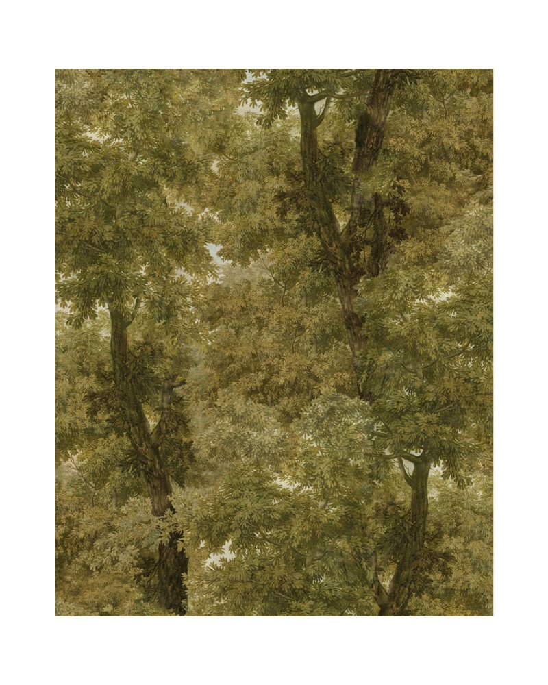 Branchy Autumn WP20784 Branchy Autumn WP20784