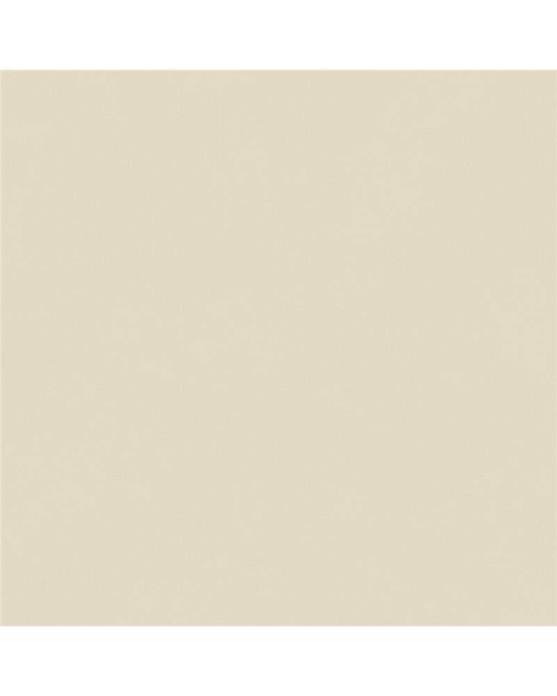 Color Cement BLONE10071 Color Cement BLONE10071