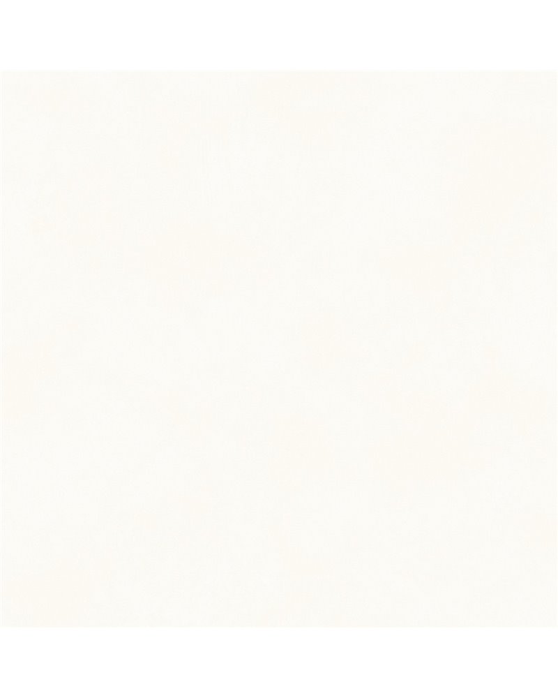 Color Egret BLONE10011 Color Egret BLONE10011