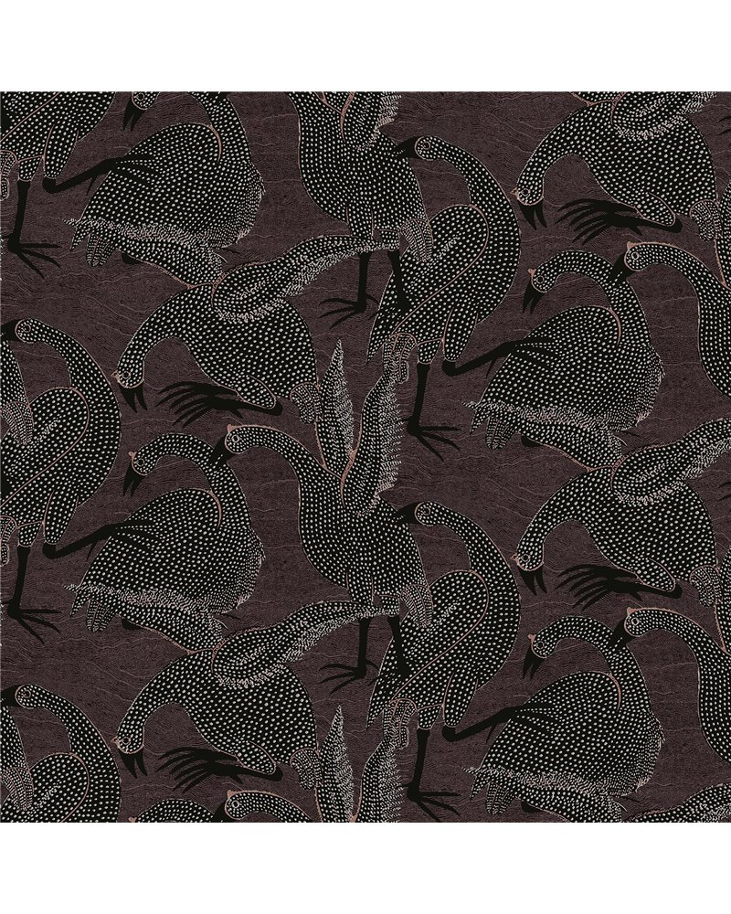 Guinea Chocolate TER104 Guinea Chocolate TER104