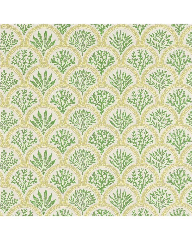 Coralli Green J186W-02 Coralli Green J186W-02