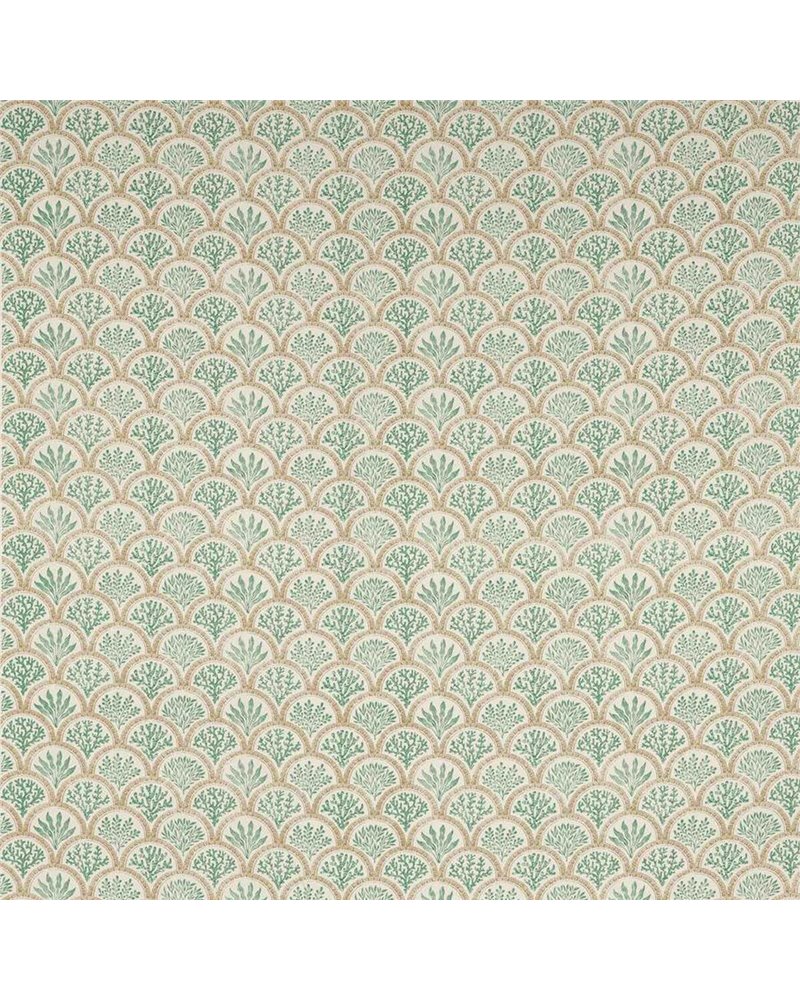 Coralli Aqua Beige J0233-03 Coralli Aqua Beige J0233-03