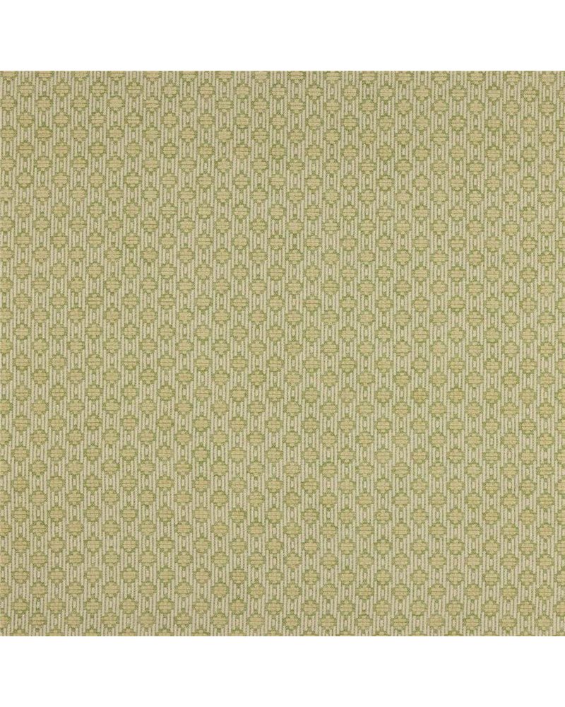 Delaney Green J0241-07 Delaney Green J0241-07