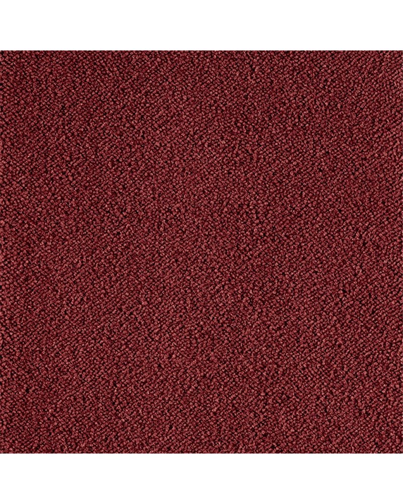 MATTE 20