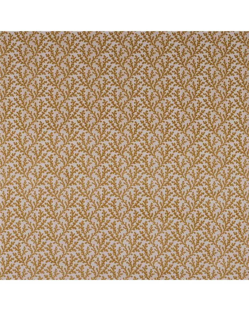 Pelham Gold F4857-05 Pelham Gold F4857-05