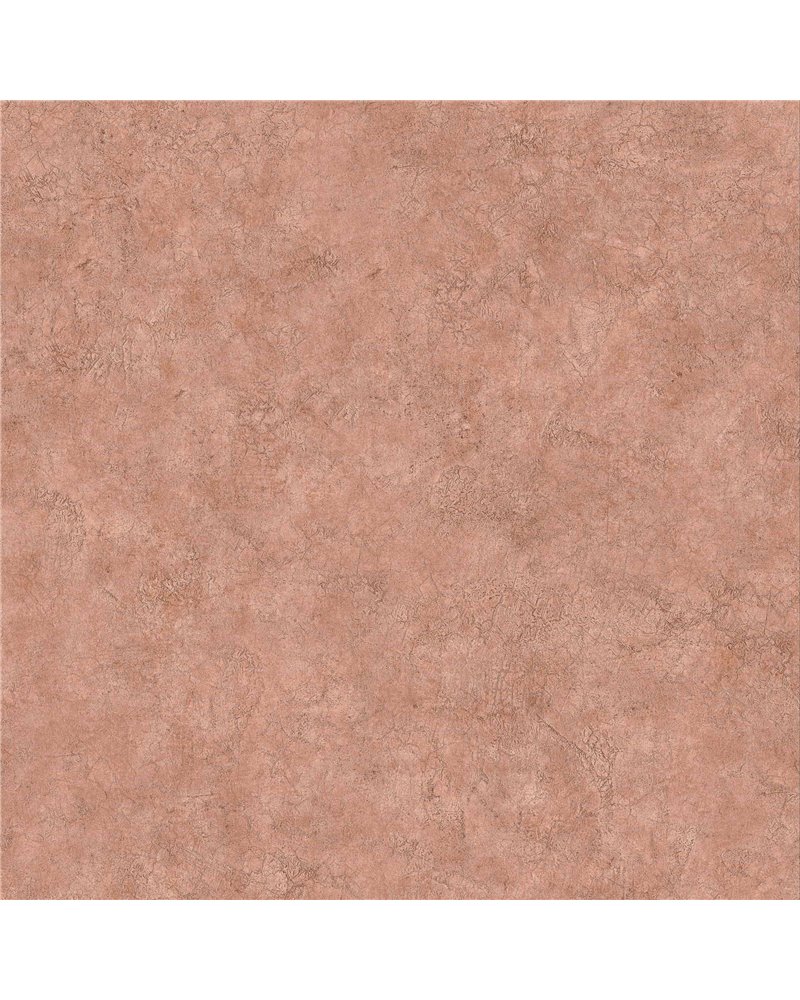 Riz Corail B00018 Riz Corail B00018