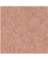 Riz Corail B00018