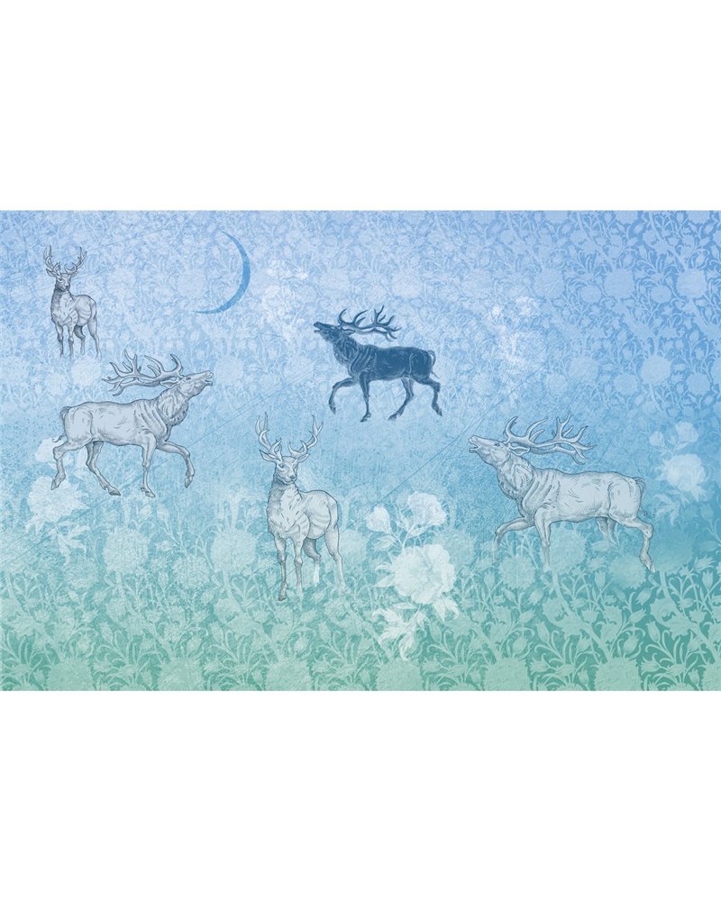 FORESTA-AF006-3 FORESTA-AF006-3