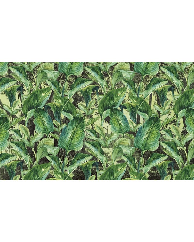 JUNGLE-VE068-1 JUNGLE-VE068-1